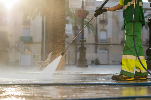 Best Roof Cleaning and Mildew Removal in Corpus Christi, TX